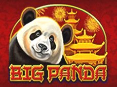 Big Panda-Amatic