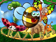 Crazy Bee-Amatic
