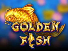 Golden Fish-Amatic