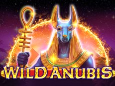 Wild Anubis-Amatic