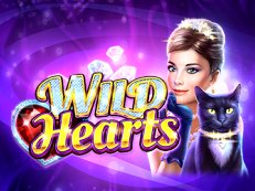 Wild Hearts-Amatic