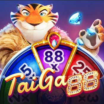 Taiga 88-NextSpin
