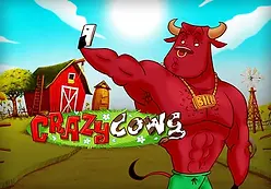 Crazy Cows-Playngo