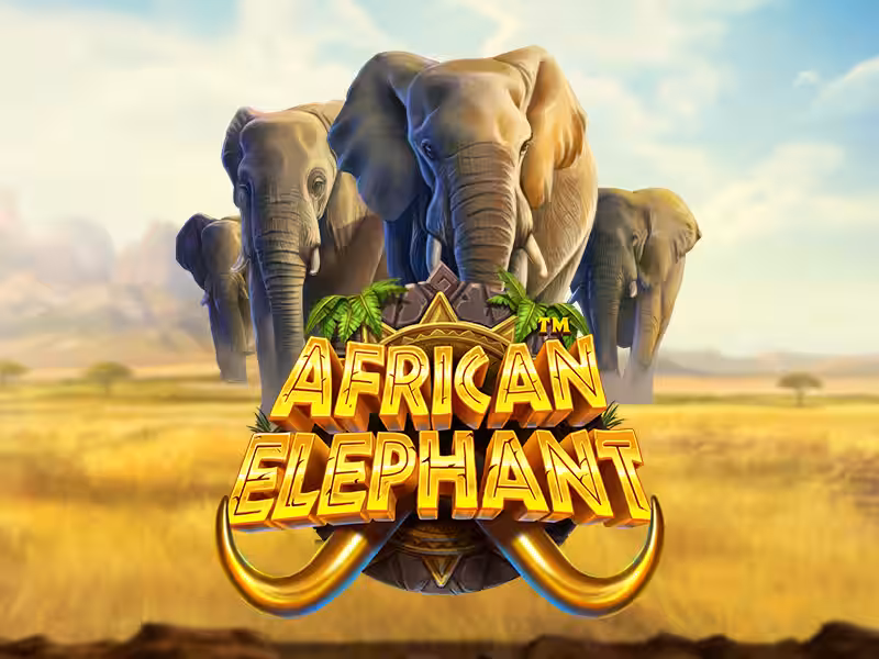 African Elephant-Pragmatic Play